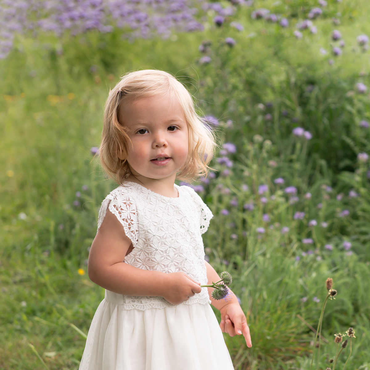 Little girl holds a flower in a field of wildflowers in Crane Park