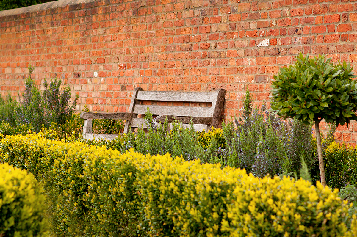 A bench to stop for a rest in Radnor Gardens